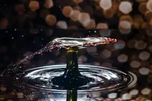 OPEC Gradually Unwinds Cuts as Oil Faces Dollar Pressure; Metals and Agriculture Show Mixed Signals