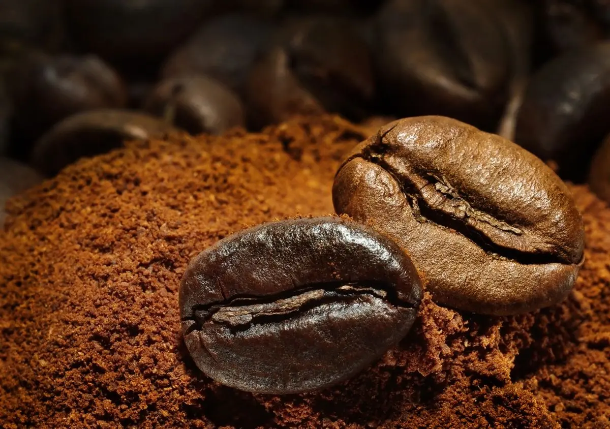 El chocolate se está convirtiendo en un lujo, ¿por qué su precio sube tanto? ¿Cómo reacciona a ello el precio del café, el maíz, el trigo, el azúcar y el algodón?