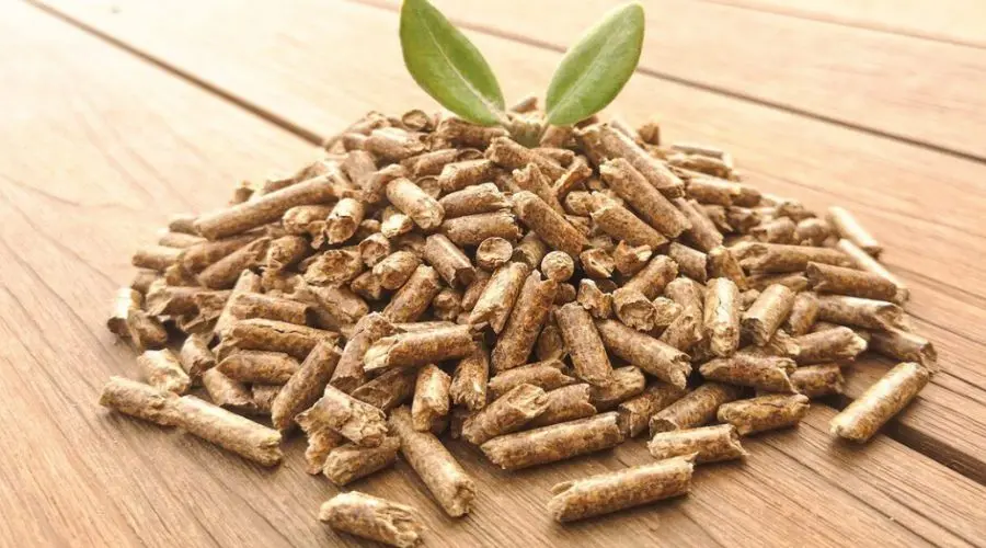 Wood pellet Podlaskie – where to buy good pellet and briquette RUF in the region?