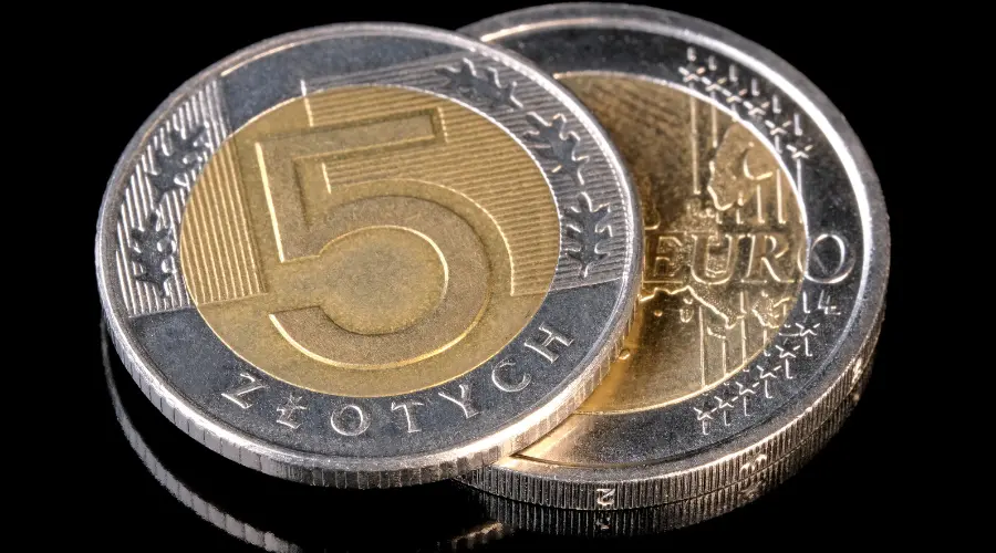 Euro rate – forecast for the coming days. Today the ECB will decide the EUR/PLN direction