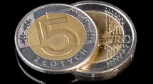 Euro rate – forecast for the coming days. Today the ECB will decide the EUR/PLN direction