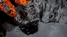 Oil falls 10 USD after the weekend. Euro rate drops towards 4.31 PLN
