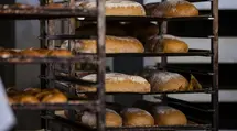 La panadería estafó 33 millones de PLN de la Unión. La CBA termina la gran investigación y presenta cargos
