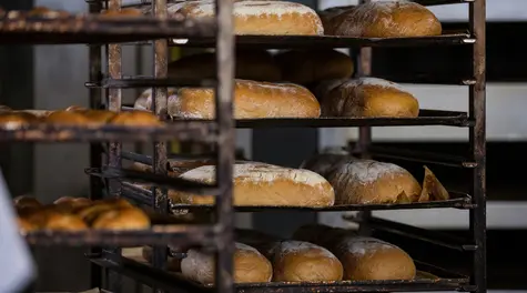Bakery Fraudulently Took 33 Million PLN from the EU. CBA Concludes Major Investigation and Files Charges