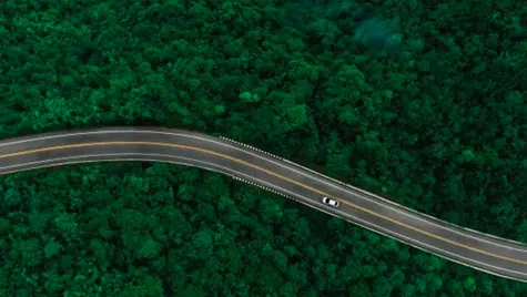 Integrating Electrons and Molecules: A Dual Path to Climate Neutrality