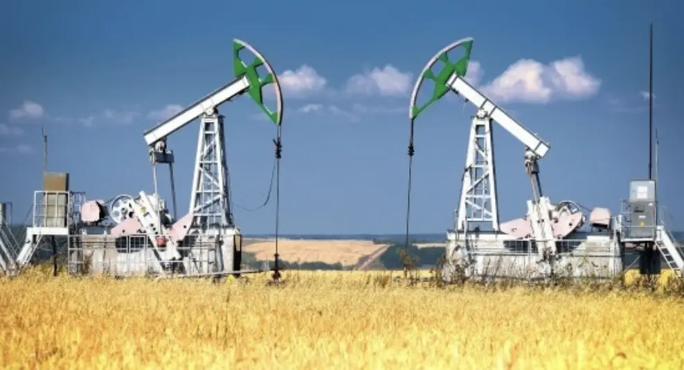 Commodities Outlook: OPEC+ in Focus, Metals Rally, Wheat Surplus