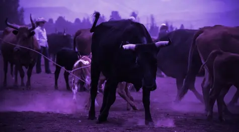 Avalanche (AVAX) y Ethereum (ETH) Lideran Crecimiento de Mercados de Criptomonedas