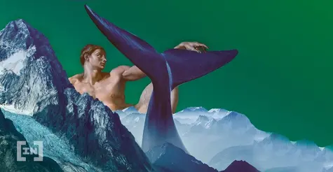 Ballenas Ethereum acumulan 60,52 millones de ETH, la cifra más alta en 5 semanas