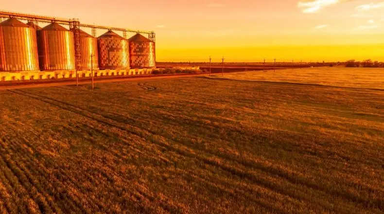 Bearish WASDE Report Impacting Corn, Soybeans, and Wheat