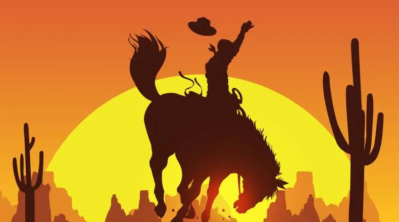 Bitcoin Price (BTC/USD) - Buckle Up For A Bumpy Ride | FXMAG.COM