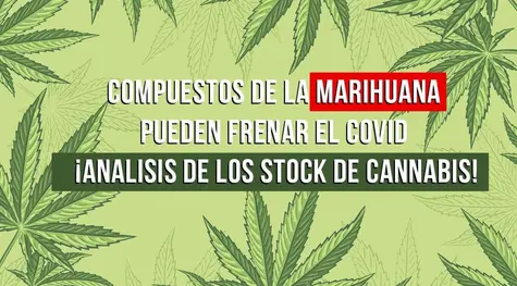 Compuestos de la marihuana pueden frenar el covid ¡Análisis de stocks de cannabis!