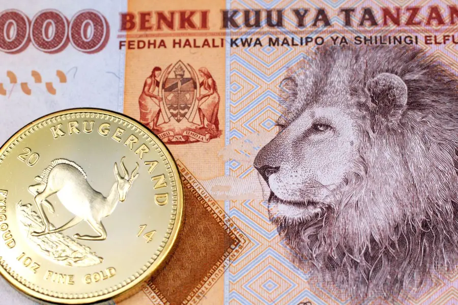 Descubre el valor del shilling tanzano: Todo lo que necesitas saber para tu viaje a Tanzania