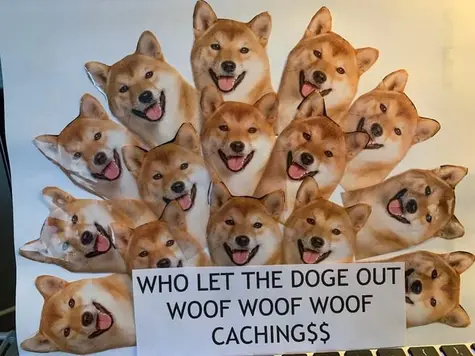 ¡Dogecoin sacada del ranking! DOGE Cardano y Solana rozando la zona de riesgo... SOL ADA | FXMAG