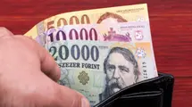 Economists Skeptical About The Strength Of The Hungarian Forint (HUF)| FXMAG.COM