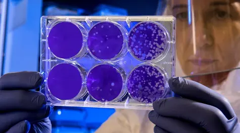 El coronavirus y su impacto en las Bolsas | FXMAG