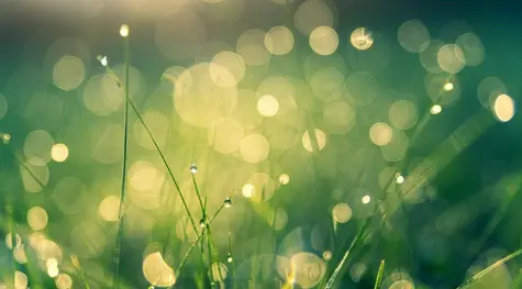 El Ibex 35 vuelve al verde, animado por Wall Street y los avances en las vacunas | FXMAG