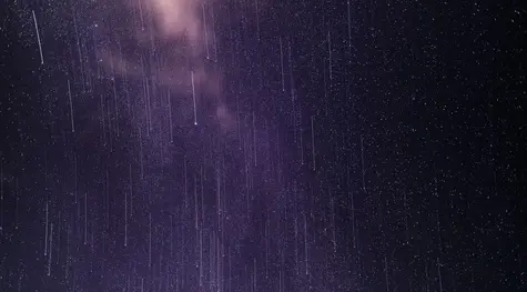 El optimismo en Wall Street se disipa. La Bolsa de Nueva York cierra en rojo | FXMAG