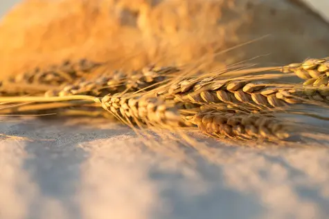 El precio del cobre y trigo pinta mal... ¿Quién invierte en el aceite de calefacción?