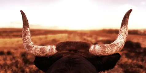 El Problema De Los Exchanges Descentralizados —y Cómo Resolverlo