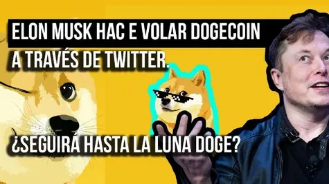 Elon Musk hace volar Dogecoin a través de Twitter. ¿Seguirá hasta la luna Doge?