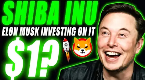 ¡Elon Musk torea a Shiba Inu! Además con mucha gracia, una poca menos para el inversor.. | FXMAG