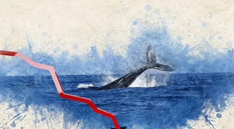 Fuerte Compra De Las Ballenas En S&P500, BitCoin y EURUSD | FXMAG