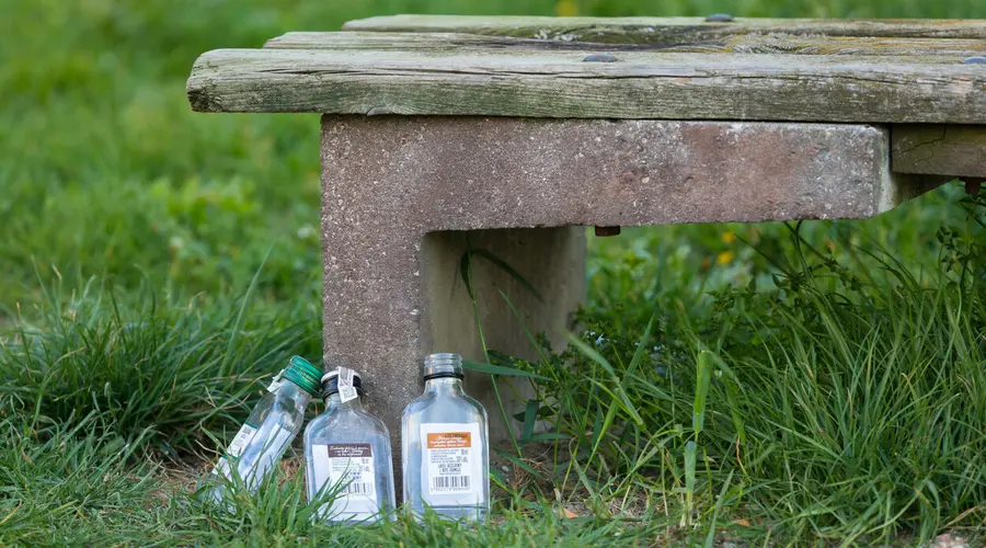 El sistema de depósito funciona, pero las botellas siguen “caer” en los bosques. ¿La revolución no tuvo efecto?