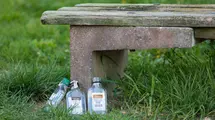 Deposit system works, but bottles still "tumble" in forests. Revolution brought no effect?