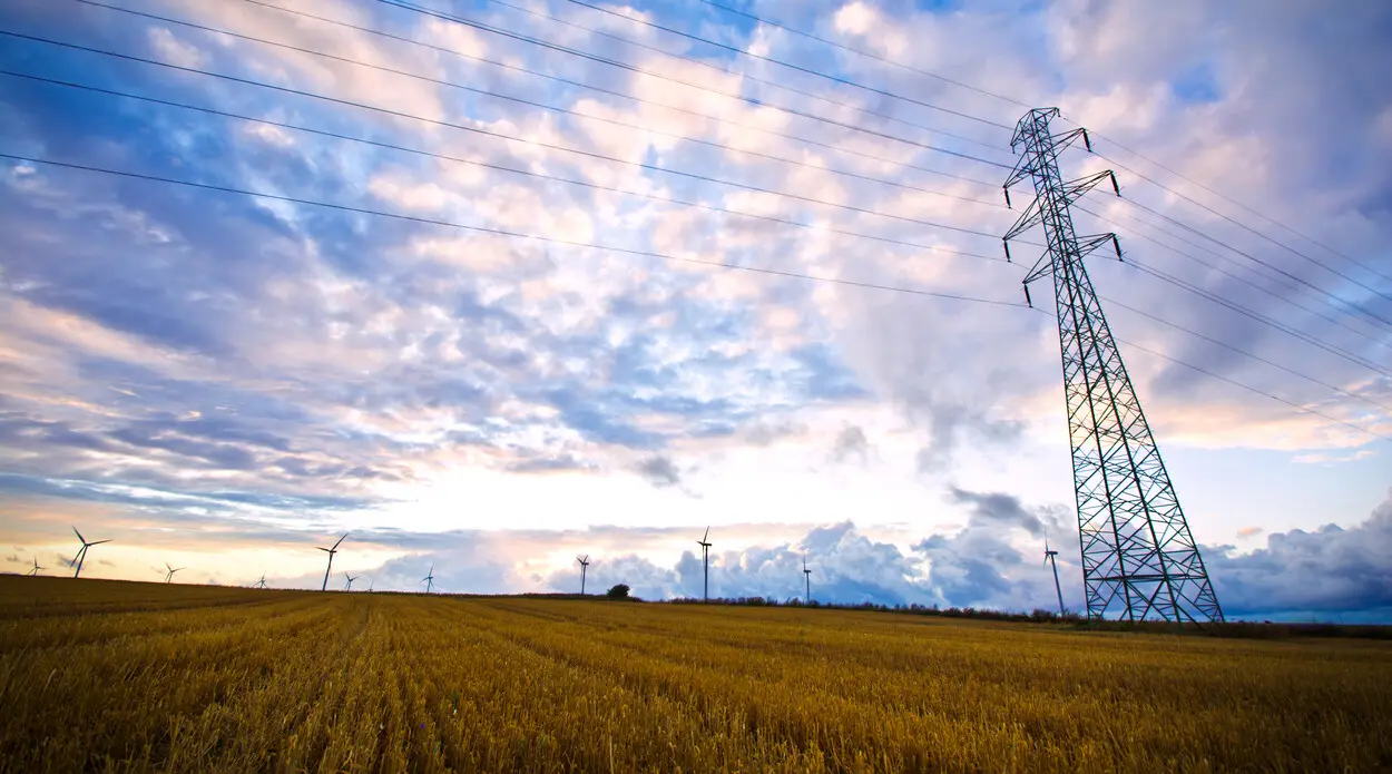 A wave of heatwaves is coming. Poland faces blackout due to increased demand for electricity?