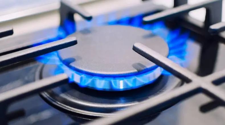 Gains In Prices Of The Natural Gas Was In Tandem With Increasing Open Interest| FXMAG.COM