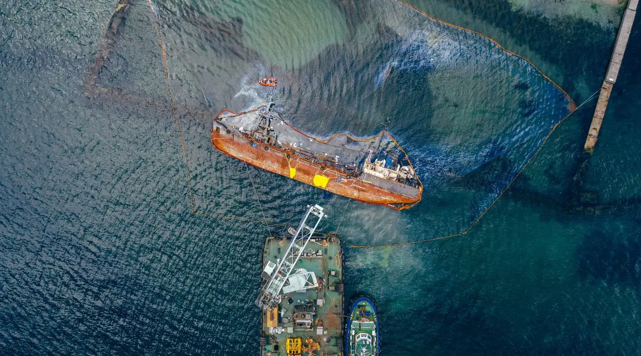 Is This a Permanent Resumption of Oil Exports from the Persian Gulf? USD/PLN and EUR/PLN Rates Fall