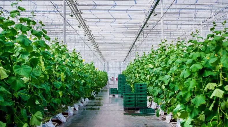 In the European Union share of energy in food producers' costs rose dramatically| FXMAG.COM