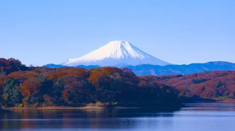 Kenny Fisher comments on USD/JPY - 03/11/22| FXMAG.COM