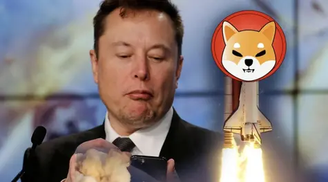 ¿Lo has visto ya? Elon Musk ha empujado a Shiba Inu SHIB | FXMAG