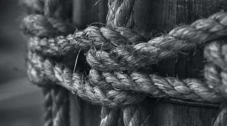 Nasdaq (NAS100): Apple (APPL) Stock Price Stays Strong. How Much Is Apple Stock?| FXMAG.COM