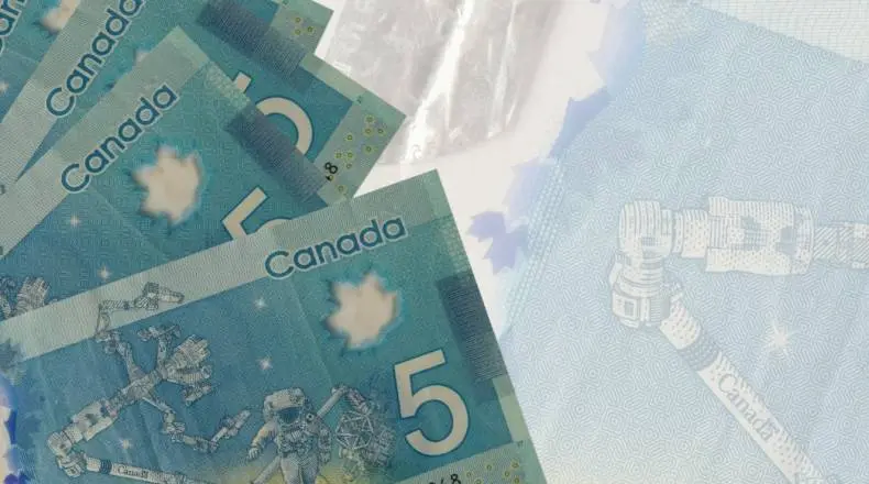 Rebuilding Growth: Challenges and Opportunities for Fabrity in Q2 and BeyondFabrity, software house, operating revenues, operating profit, organic growth, pressure on margins, second quarter, exchange rates, profitability, foreign markets, economic fluctu