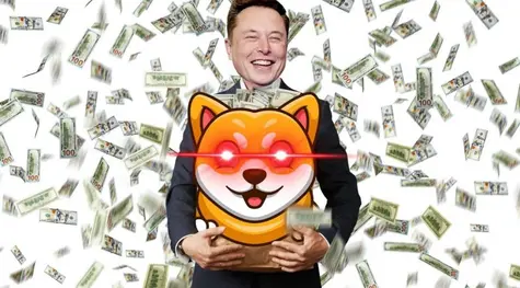 Shiba Inu, Dogecoin… Volatilidad extrema cripto: Musk revela sus compras | FXMAG
