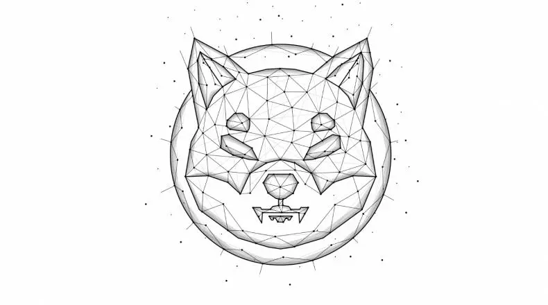 Shiba Inu price set to crash by 70% as critical support weakens| FXMAG.COM