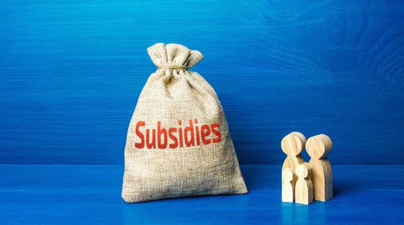 Subsidies - Assistance In The Implementation Of Special Social Goals| FXMAG.COM