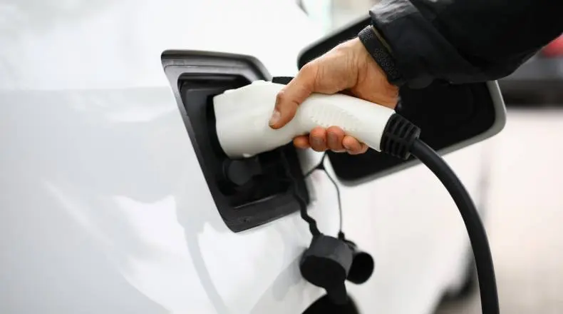 Tesla Stock Price and Forecast: Should I buy TSLA, RIVN or LCID?| FXMAG.COM