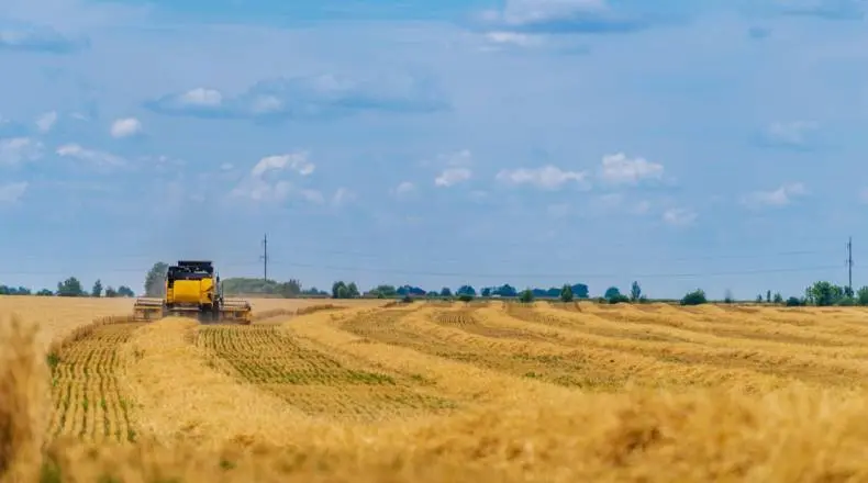 The Commodities Feed: Complex unable to escape risk-off move | ING Economics| FXMAG.COM