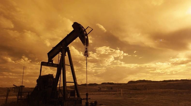 The Commodities Feed: First US crude draw this year| FXMAG.COM