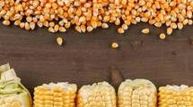 The Commodities Feed: Possible Ukrainian grain exports | ING Economics| FXMAG.COM