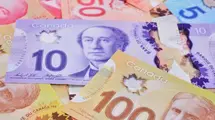 The Inflation Report Is Important As The Bank Of Canada Will Meet Next Week| FXMAG.COM