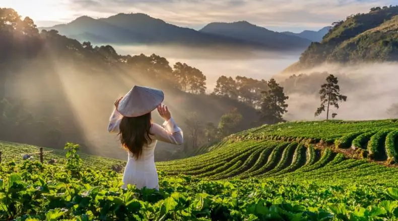 The Japanese GDP Data Has Displayed A Negative Growth Rate| FXMAG.COM