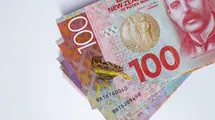 The Volatility In The New Zealand To US Dollar (NZD/USD) Pair Market Declined Sharply| FXMAG.COM