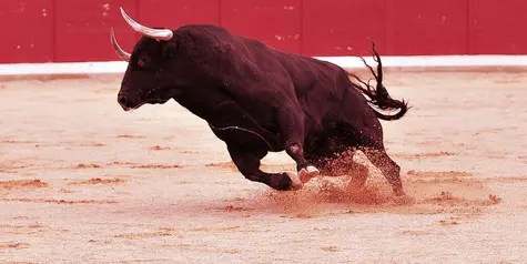 Token RUNE De Thorchain Sube Dos Dígitos En Medio De Ola De Nuevas Funciones