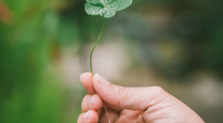 Wall Street en verde, gracias a las vacunas y a la perspectiva de los estímulos | FXMAG