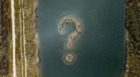 Wall Street: una sesión dinámica termina sin grandes cambios. ¿Qué pasó? | FXMAG