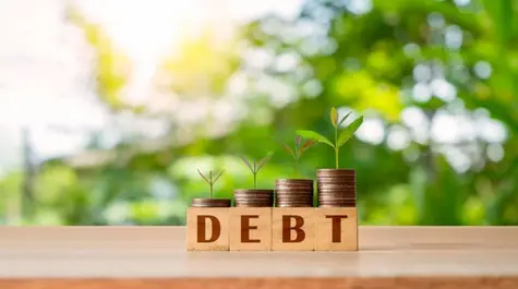 What Is Public Debt And Can It Be Paid Off?| FXMAG.COM